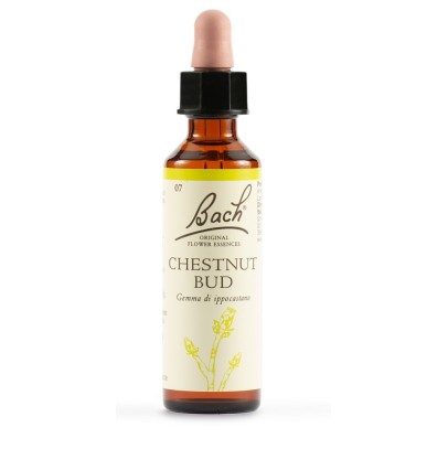 CHESTNUT BUD BACH ORIG 20 ML CHESTNUT BUD BACH ORIG 20 ML