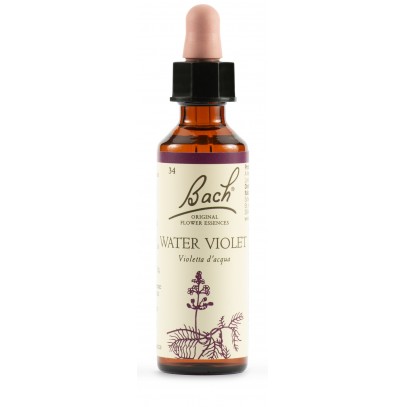 WATER VIOL BACH ORIG 20 ML