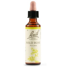 WILD ROSE BACH ORIG 20 ML