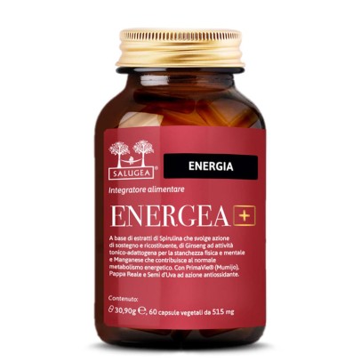 ENERGEA+ 60CPS (I6/222) SALUGE ENERGEA+ 60CPS (I6/222) SALUGE