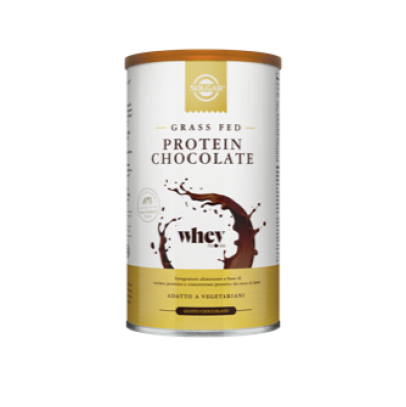 PROTEIN CHOCOLATE 377G