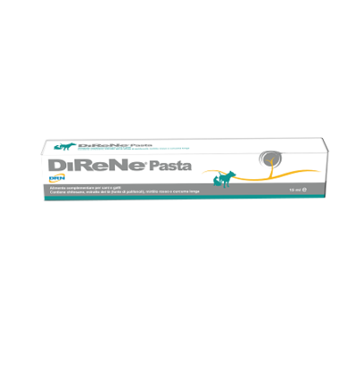 DIRENE PASTA 15 ML DIRENE PASTA 15 ML