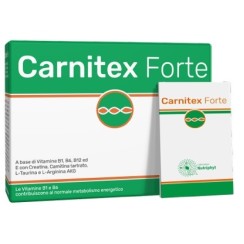 CARNITEX FORTE 14BUST