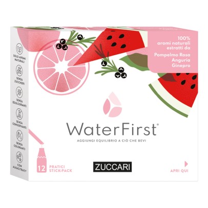 WATERFIRST POMPEL ANG GIN12STK WATERFIRST POMPEL ANG GIN12STK