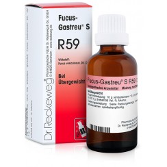 RECKEWEG R59 GOCCE 22 ML