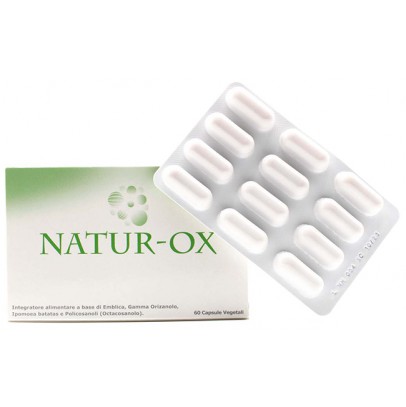 NATUR-OX CAPSULE 500 MG