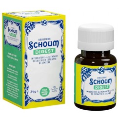 SOLUZIONE SCHOUM DIGEST 20FIZZ