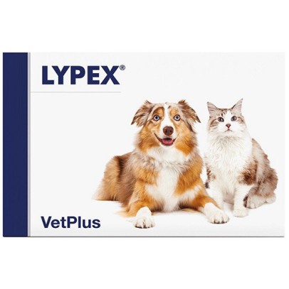 LYPEX 60 CAPSULE LYPEX 60 CAPSULE