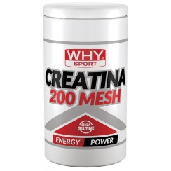 WHYSPORT CREATINA 200 MESH500G