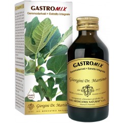 GASTROMIX LIQUIDO ANALCOLICO 100 ML