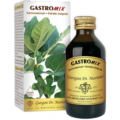 GASTROMIX LIQUIDO ANALCOLICO 100 ML