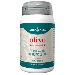 OLIVO 60CPS