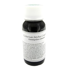 LVS 05N CICHORIUM INTYBUS COMPOSITUM