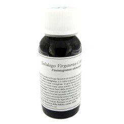 LVS 07N SOLIDAGO VIRGAUREA COMPOSITUM