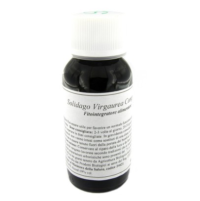 LVS 07N SOLIDAGO VIRGAUREA COMPOSITUM LVS 07N SOLIDAGO VIRGAUREA COMPOSITUM
