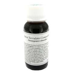 LVS 10N SABAL SERRULATUM COMPOSITUM