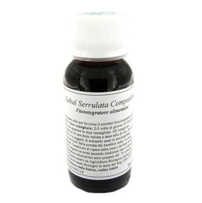 LVS 10N SABAL SERRULATUM COMPOSITUM LVS 10N SABAL SERRULATUM COMPOSITUM