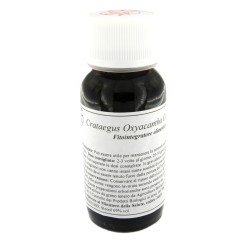 LVS 17S CRATAEGUS OXYACANTHA COMPOSITUM