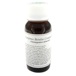 LVS 20N CARPINUS BETULUS COMPOSITUM