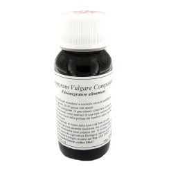 LVS 33S FAGOPYRUM VULGARE COMPOSITUM