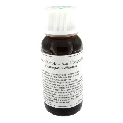 LVS 41N EQUISETUM ARVENSE COMPOSITUM LVS 41N EQUISETUM ARVENSE COMPOSITUM