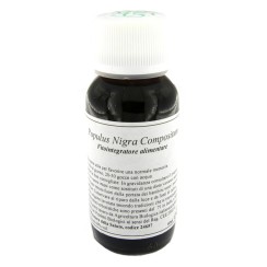 LVS 43N POPULUS NIGRA COMPOSITUM