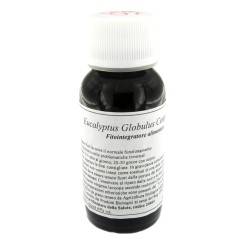 LVS 56S EUCALYPTUS GLOBULUS COMPOSITUM