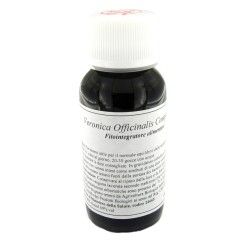 LVS 57S VERONICA OFFICINALIS COMPOSITUM