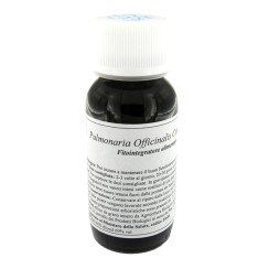 LVS 84C PULMONARIA OFFICINALIS COMPOSITUM
