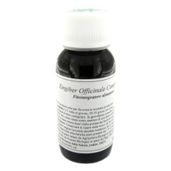 LVS 64N ZINGIBER OFFICINALIS COMPOSITUM