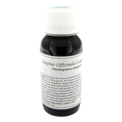 LVS 64N ZINGIBER OFFICINALIS COMPOSITUM LVS 64N ZINGIBER OFFICINALIS COMPOSITUM