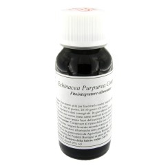 LVS 67S ECHINACEA PURPUREA COMPOSITUM