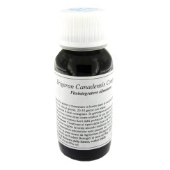 LVS 85C ERIGERON CANADENSIS COMPOSITUM