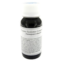 LVS 87C CYNARA SCOLY CAULI COMPOSITUM