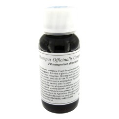 LVS 91C HYSSOPUS OFFICINALIS COMPOSITUM