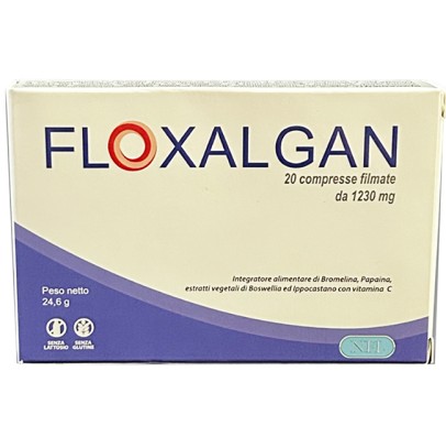 FLOXALGAN 20 COMPRESSE RIVESTITE DA 1,02 G FLOXALGAN 20 COMPRESSE RIVESTITE DA 1,02 G