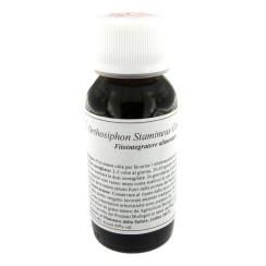 LVS 65S ORTHOSIPHON STAMINEUS COMPOSITUM