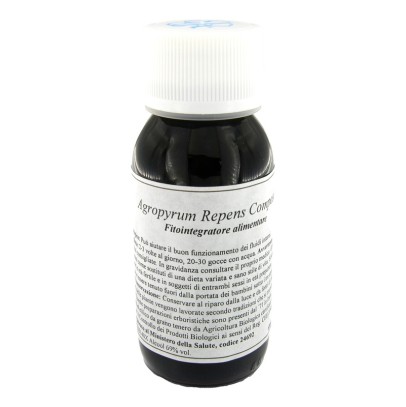 LVS 93C AGROPYRUM REPENS COMPOSITUM LVS 93C AGROPYRUM REPENS COMPOSITUM