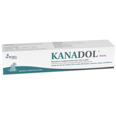 KANADOL PASTA 30G KANADOL PASTA 30G